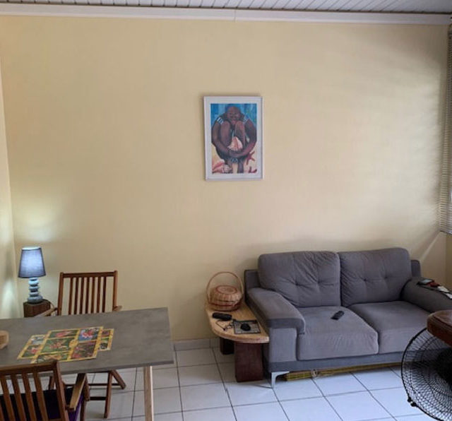 A-vendre-Appartement-34-m²-à-CAYENNE-photo-4